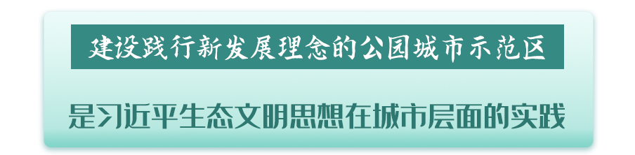 1648871169124072659.png