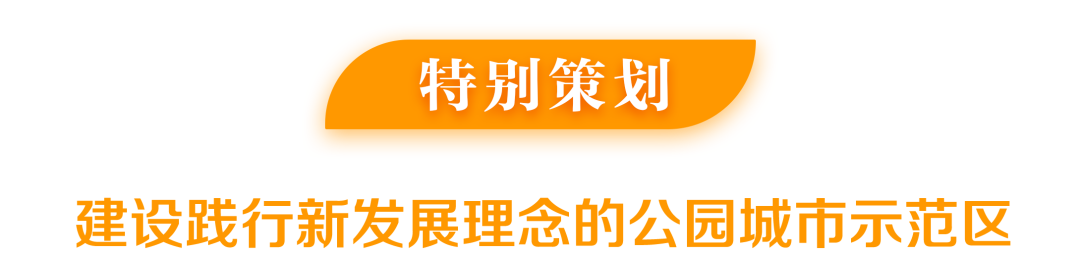 1653293143808021132.png