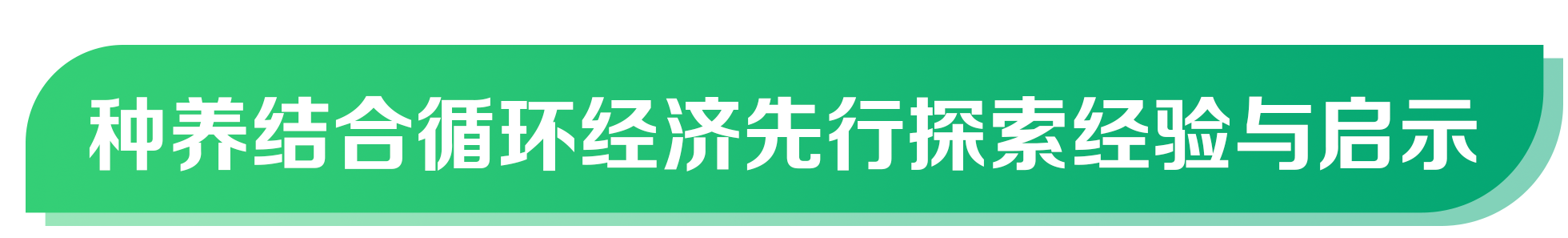 1672206809052040831.jpg