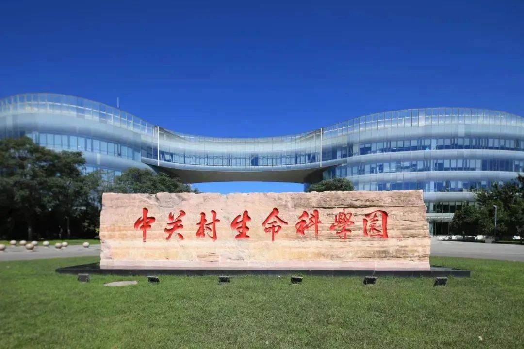 图片10.jpg