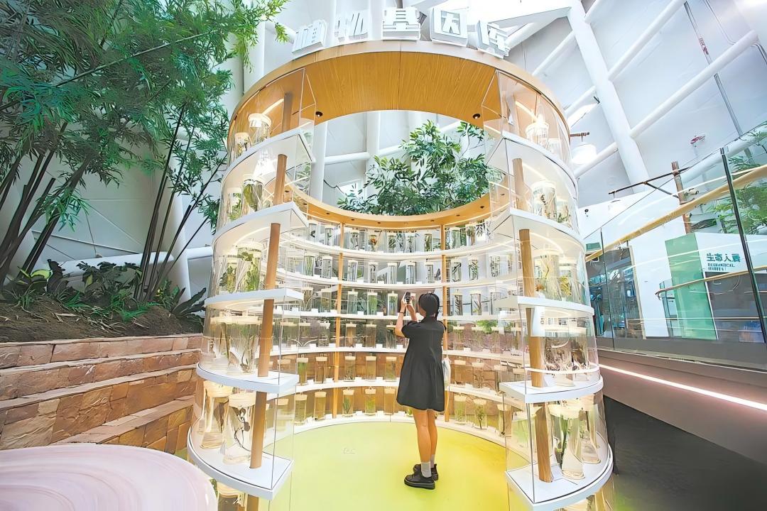 5-图(1).jpg