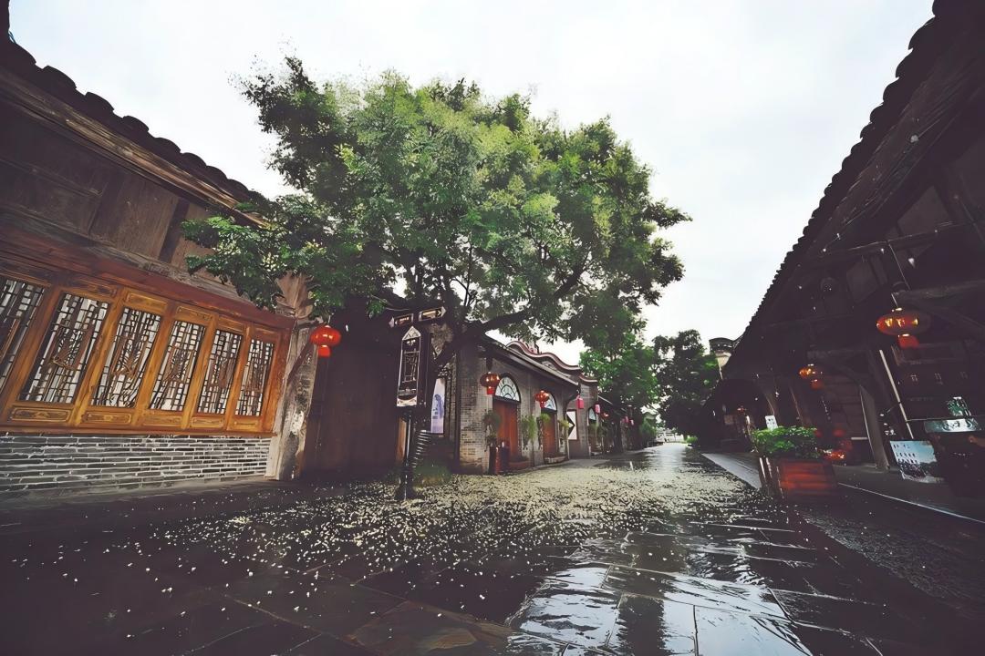 6-图(1).jpg