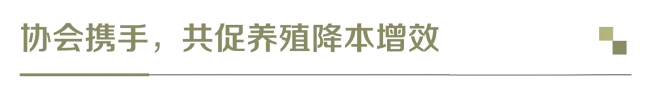 12-标题(1).png