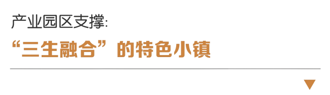 7-标题(1).png