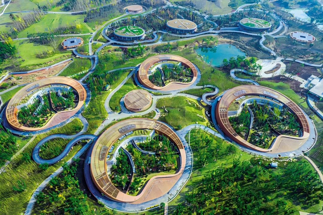 1762737410289079956.jpg 3-图.jpg